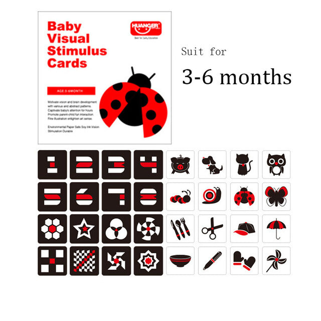 Toddler Flash Cards