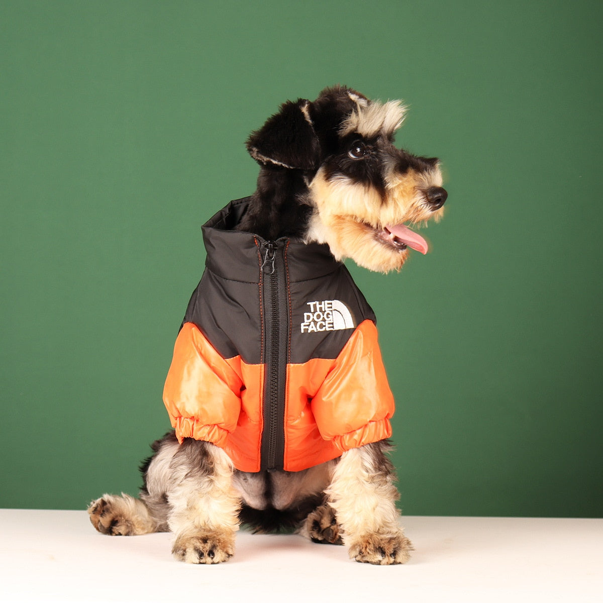 Warm Fashionable Dog Jackets